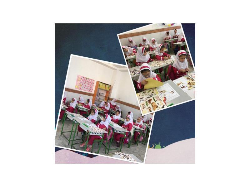 زنگ علوم - پایه اول