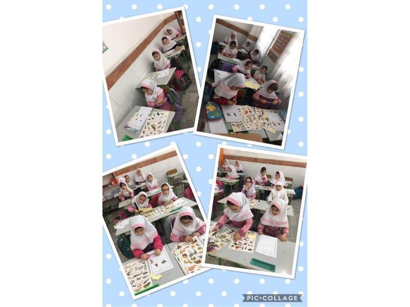 زنگ علوم - دنیای جانوران پایه اول