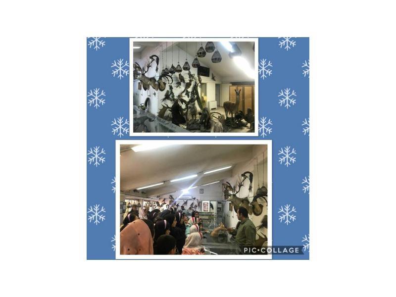 اردوی زمستانی -بازدید از موزه طبیعت و حیات وحش دارآباد