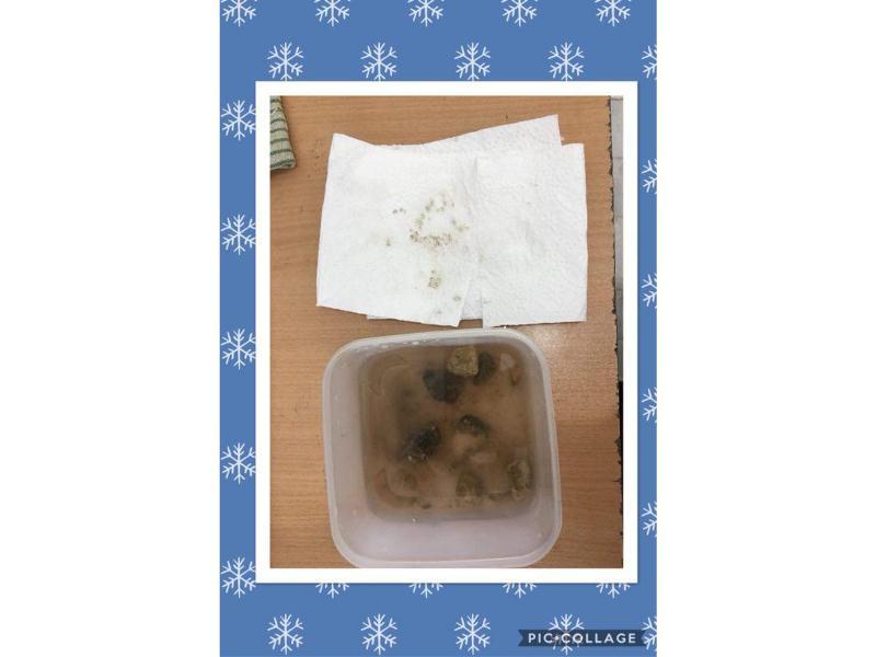 زنگ علوم كار عملي فصل سنگ ها