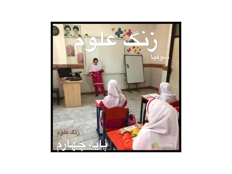 ارائه مقاله در مورد نمك خوراكي- پایه چهارم