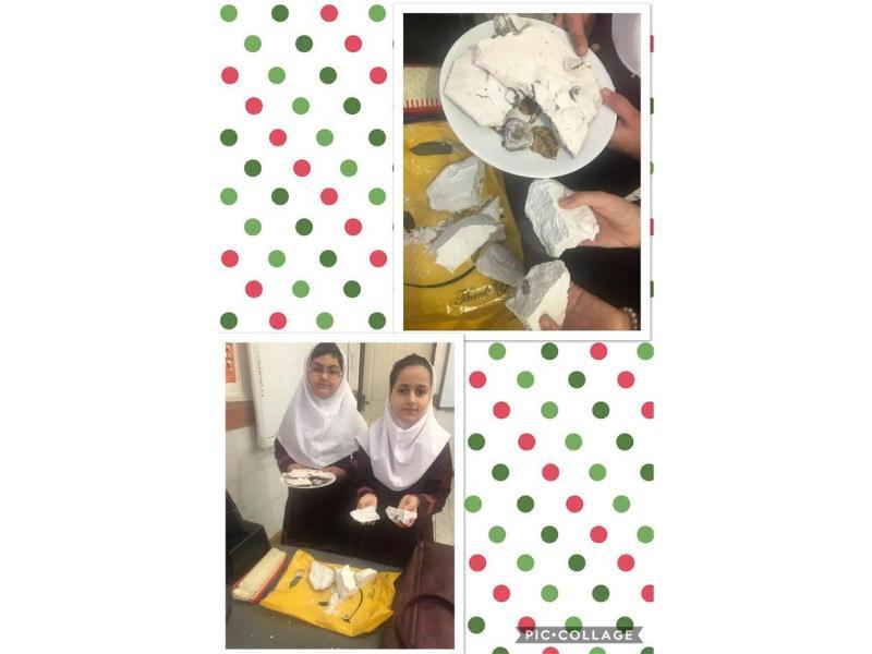 زنگ علوم آزمایش سنگ ها