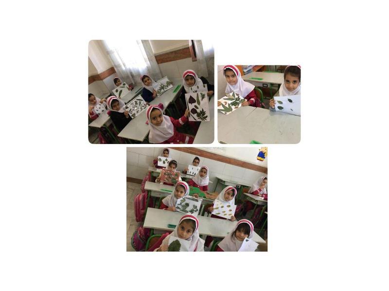 زنگ علوم -فصل گياهان تفاوت برگ ها- پایه اول