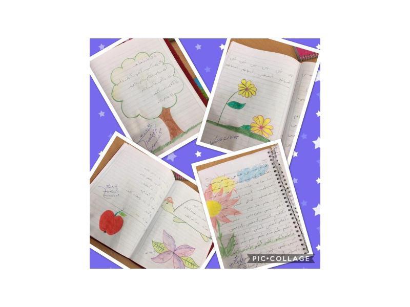 تكاليف زيباي كلاس اولي ها